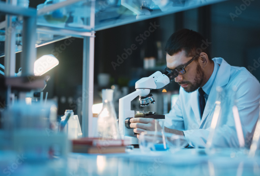 RNAi Mechanism of Action